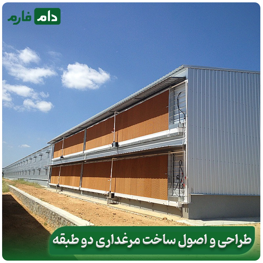 A-comprehensive-review-of-the-advantages-and-disadvantages-of-two-story-poultry-houses