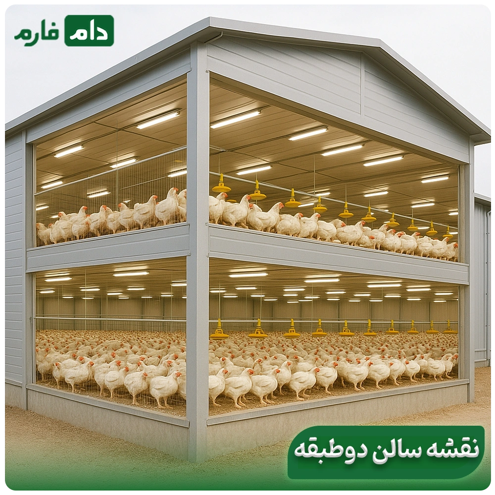 A-comprehensive-review-of-the-advantages-and-disadvantages-of-two-story-poultry-houses