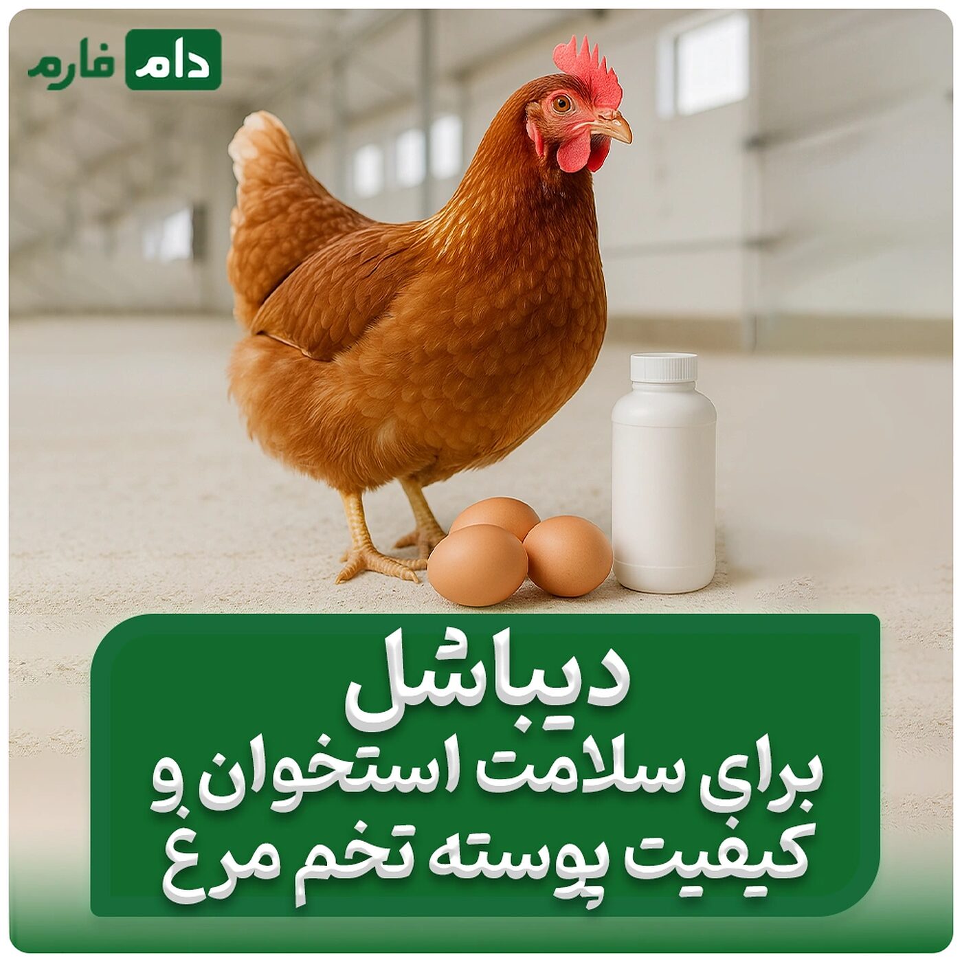 _کنسانتره_دیباشل_دکتر_طلوعی_-_09117583323