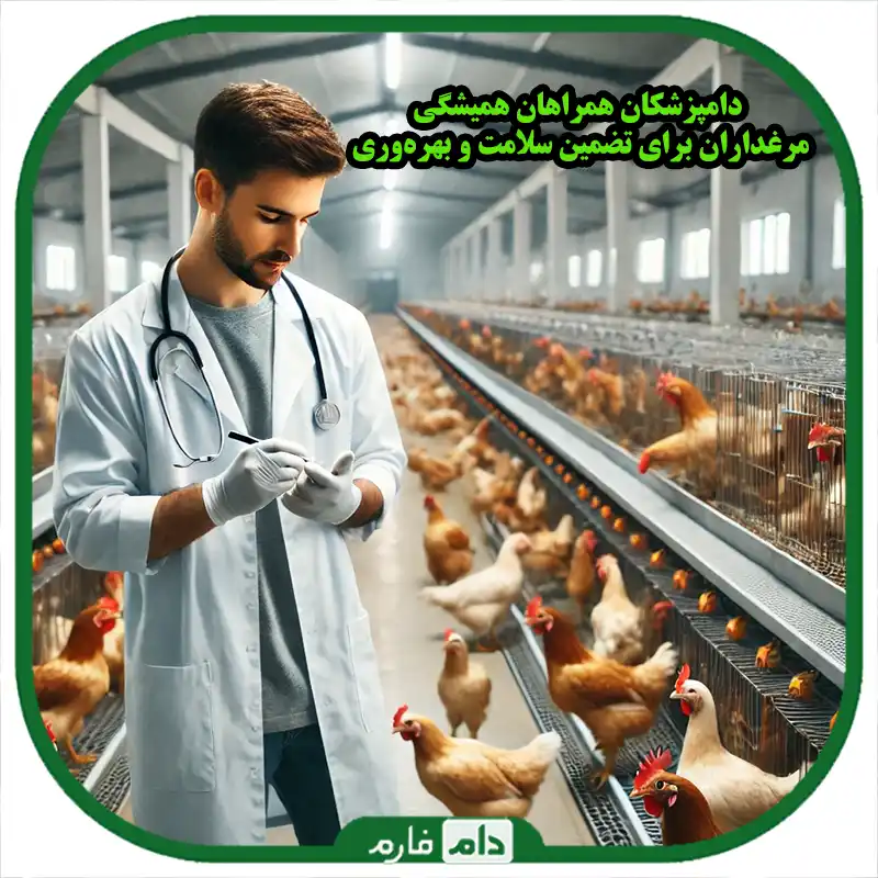 نقش_کلیدی_دامپزشکان_در_مدیریت_دارویی_و_بهداشت_مرغداری‌ها
