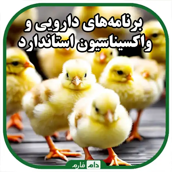 pharmaceutical-and-health-management-of-poultry-farms