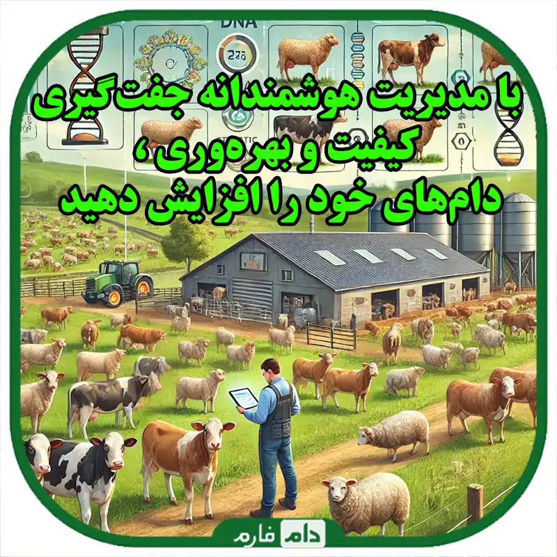 نکات_کلیدی_در_مدیریت_جفت‌گیری_و_اصلاح_نژاد_دام