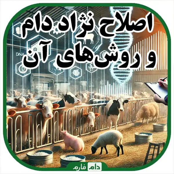 Key-points-in-mating-management-and-livestock-breeding