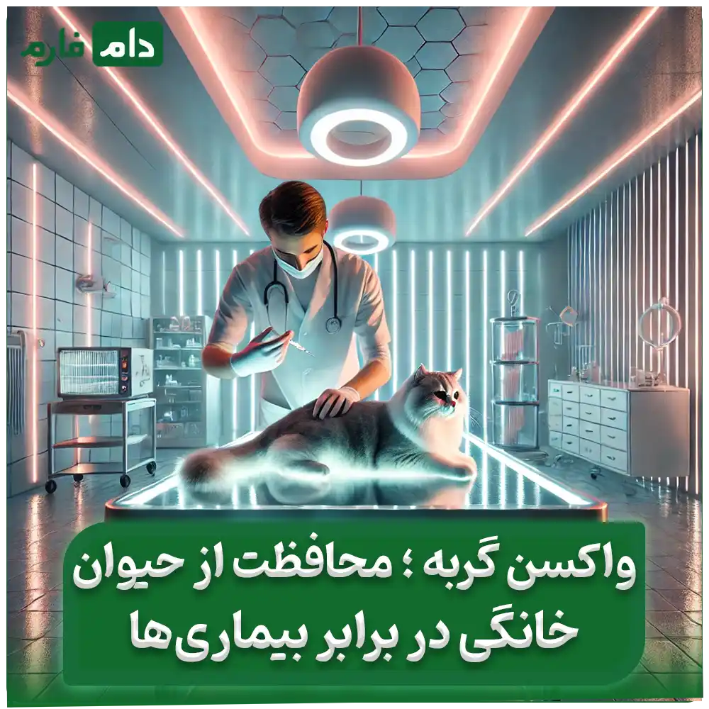 چرا_واکسن_گربه‌ها_ضروری_است_؟_6_دلیل_قطعی_برای_واکسیناسیون_