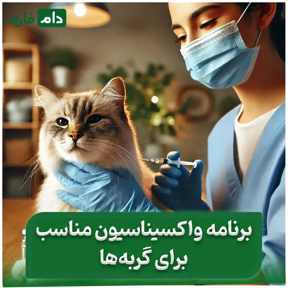 Why-is-it-necessary-to-vaccinate-cats-6-definite-reasons-for-vaccination