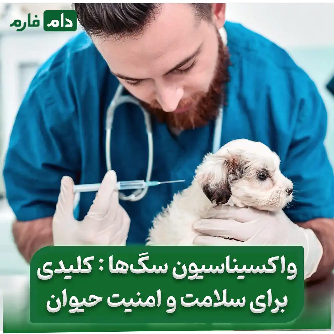 چرا_واکسیناسیون_سگ_شما_حیاتی_است؟_راهنمای_جامع_برای_صاحبان_سگ‌ها