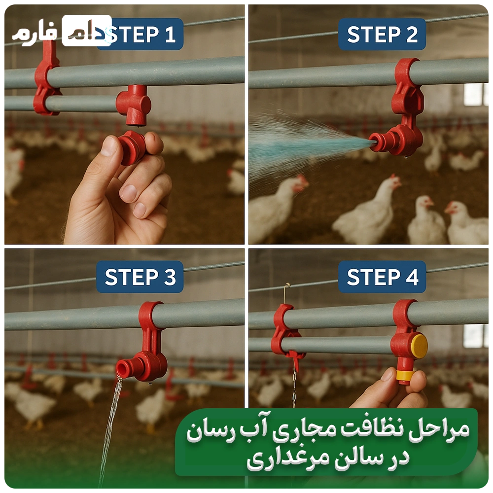 Preventing-Pipe-Sedimentation-in-Poultry-Farms-|-Simple-Ways-to-Maintain-a-Clean-and-Efficient-Water-Supply-System-in-Poultry-Farms
