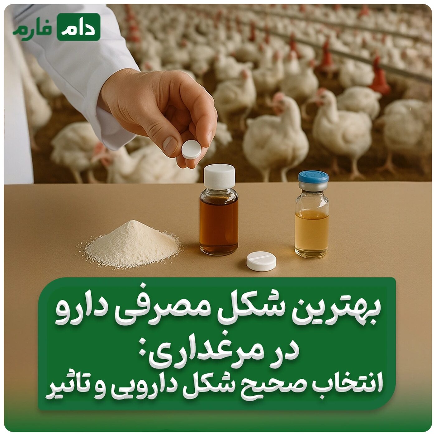 بهترین_شکل_مصرفی_دارو_در_مرغداری‌ها:_انتخاب_صحیح_شکل_دارویی_و_تأثیر_آن