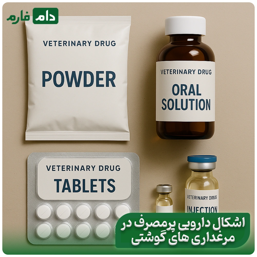 Secrets-of-Treatment-Effectiveness-in-Poultry-Farms:-Choosing-the-Right-Dosage-Form-and-Its-Effect