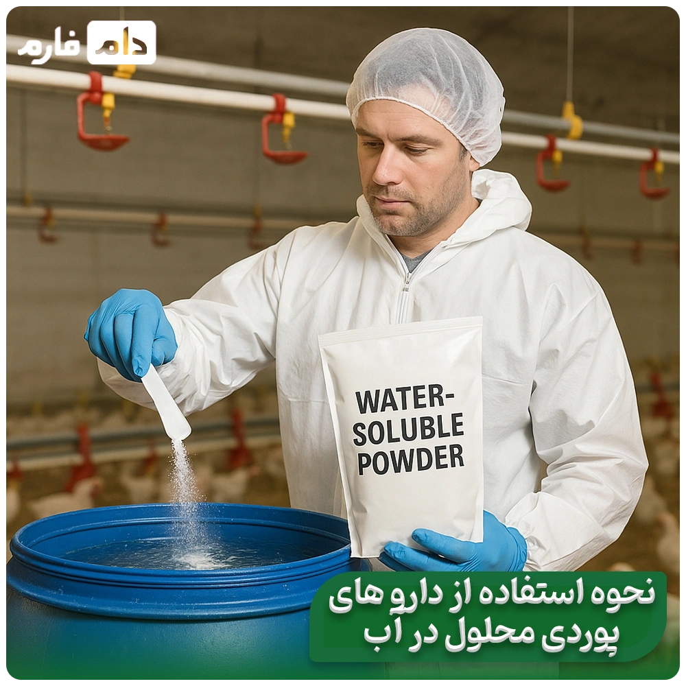 Secrets-of-Treatment-Effectiveness-in-Poultry-Farms:-Choosing-the-Right-Dosage-Form-and-Its-Effect