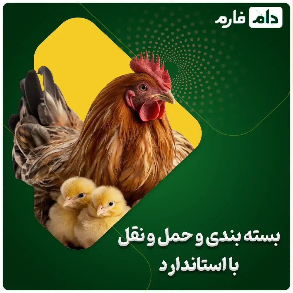 Orum-Gohar-Daneh-Company-(Sedan-Sabz)-Sales