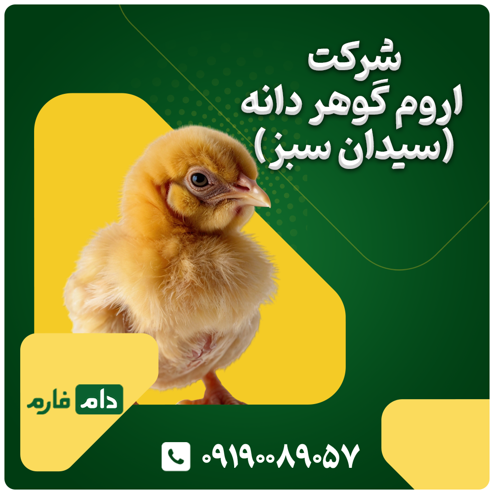 شرکت_اروم_گوهر_دانه_(سیدان_سبز)_|_فروش_09190089057