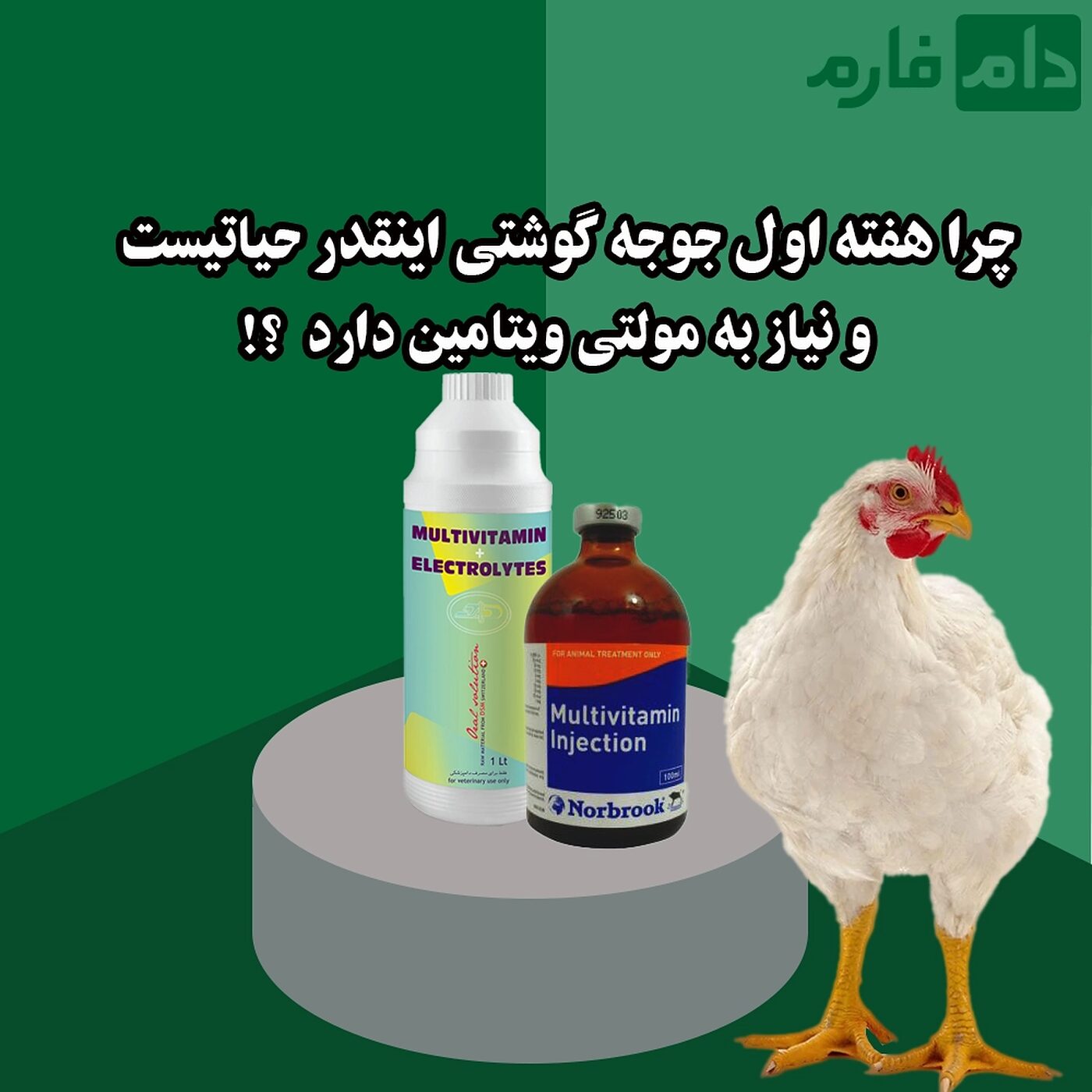 بهترین_مولتی_ویتامین_برای_هفته_اول_جوجه_گوشتی_که_تلفات_را_از_بین_ببرد