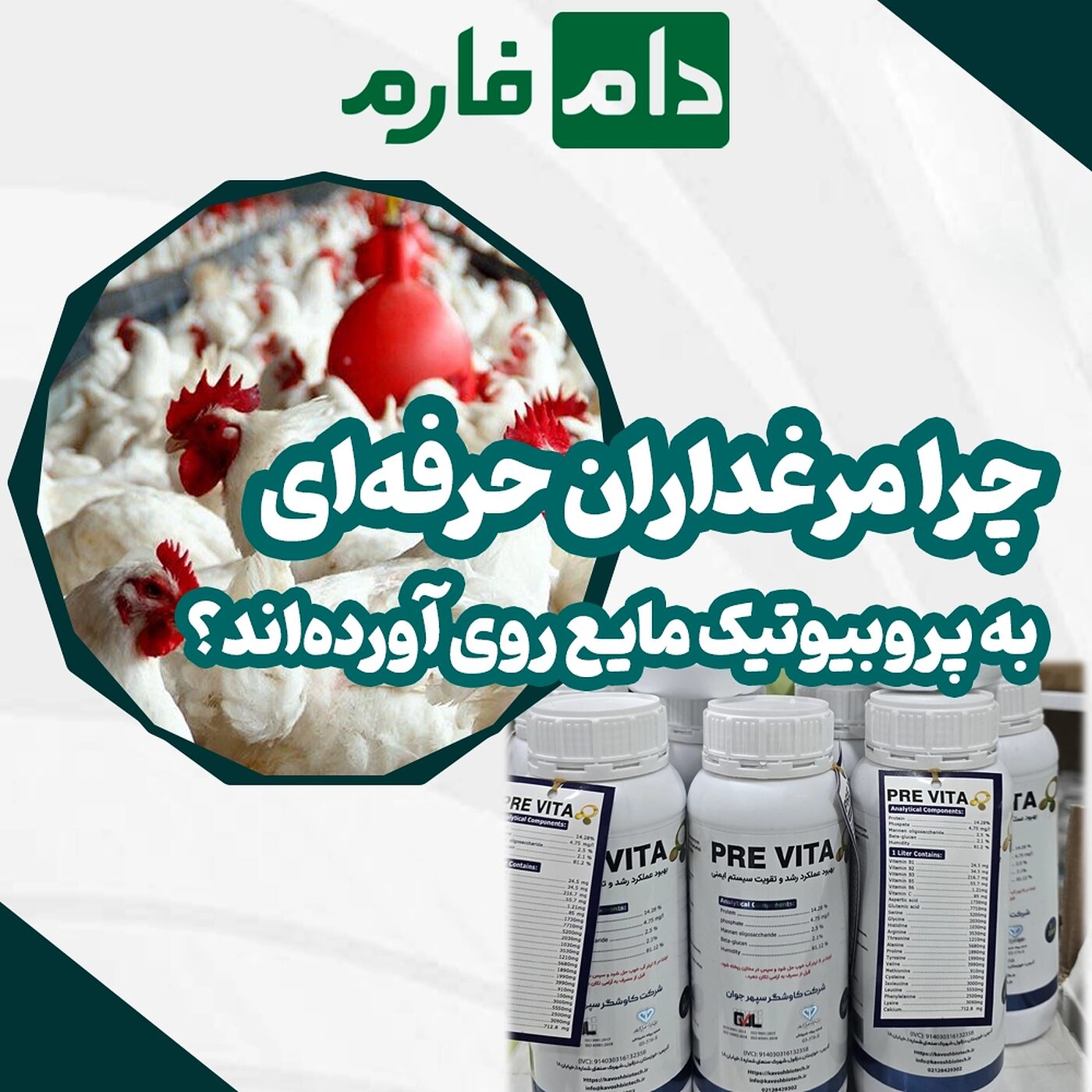 کامل‌ترین_پروبیوتیک_مایع_برای_جوجه‌های_گوشتی_که_سود_شما_را_دوبرابر_می‌کند