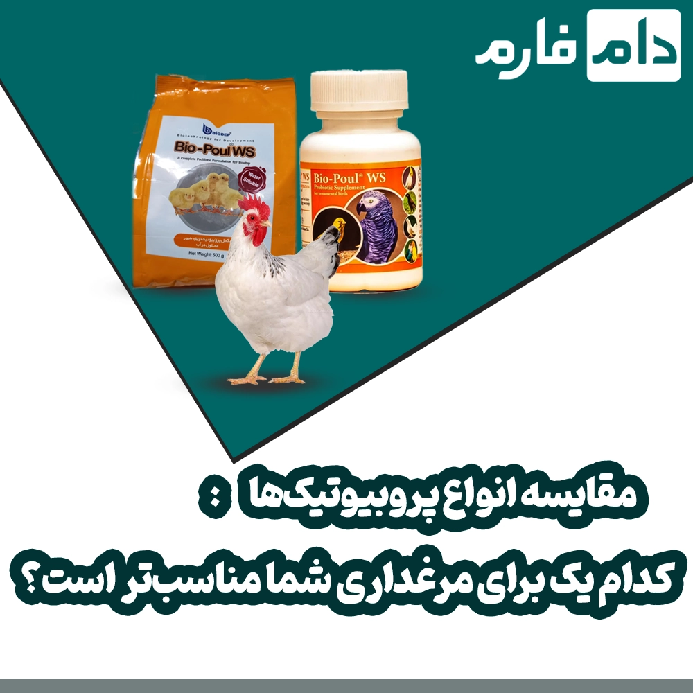 Revolution-in-poultry-farmingThe-most-complete-liquid-probiotic-for-broilers-that-doubles-your-profits