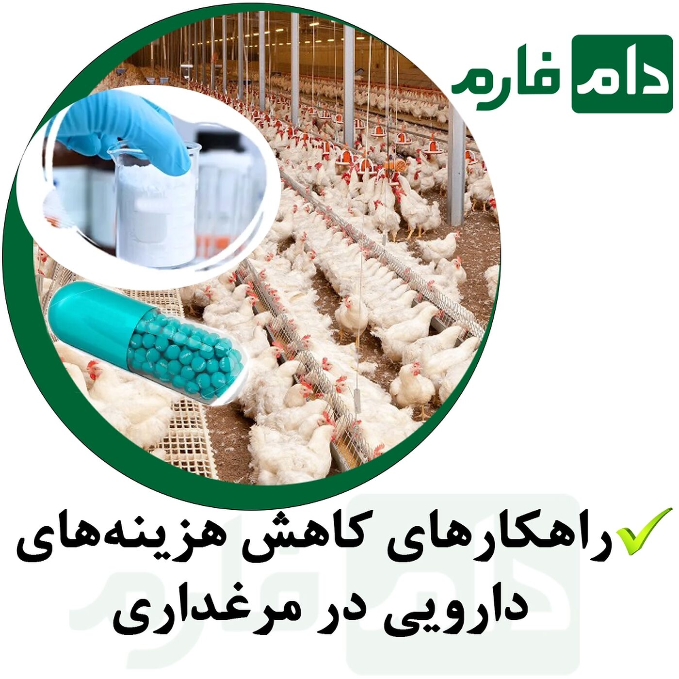 راهکارهای_کاهش_هزینه‌های_دارویی_در_مرغداری