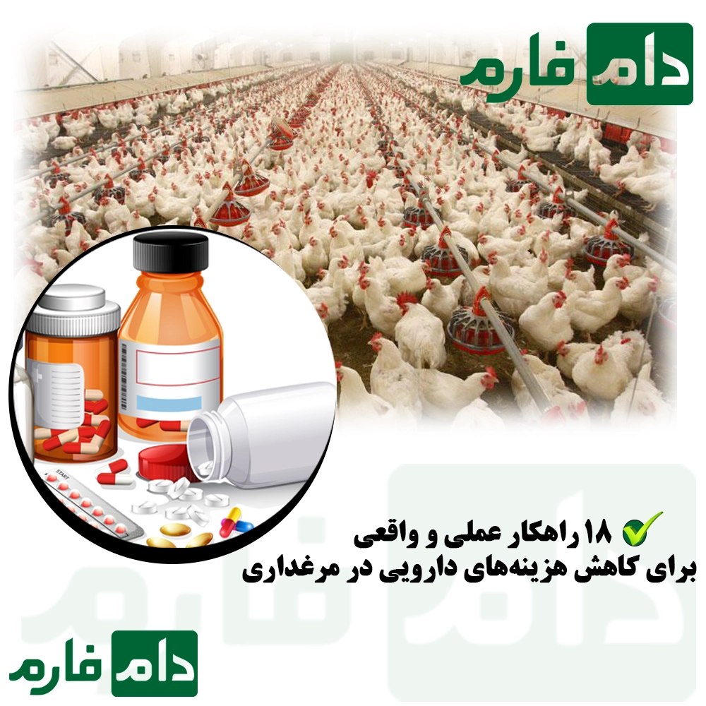 Solutions-to-reduce-pharmaceutical-costs-in-poultry-farming
