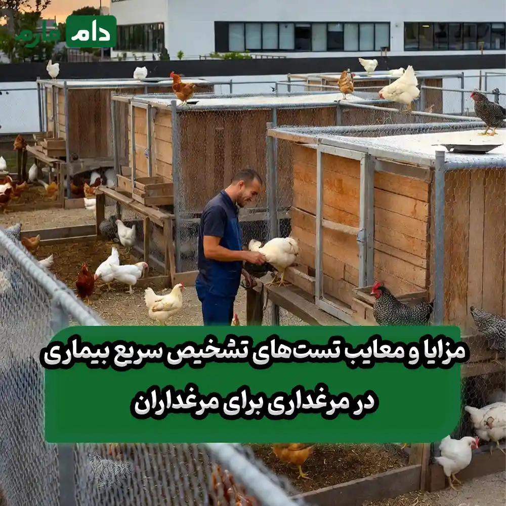 Rapid-disease-diagnosis-tests-in-poultry-farming