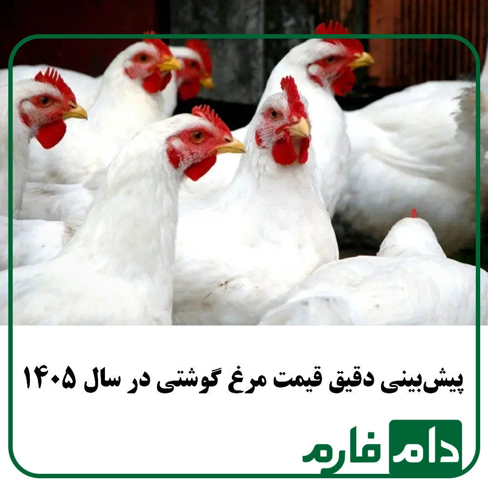 The-effect-of-seasons-on-broiler-chicken-prices