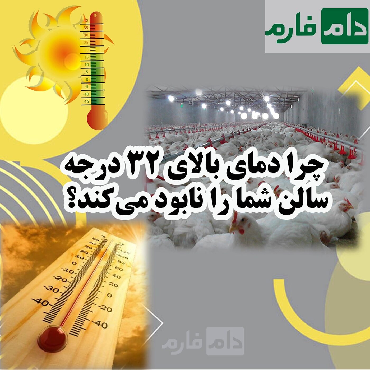 تأثیر_فصل_ها_بر_افزایش_و_کاهش_قیمت_مرغ_گوشتی