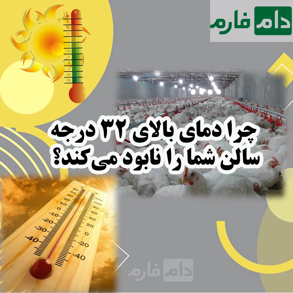 تأثیر_فصول_بر_قیمت_مرغ_گوشتی