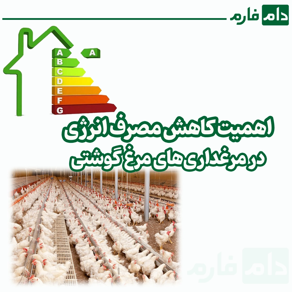 چگونه_مصرف_انرژی_در_مرغداری‌های_مرغ_گوشتی_را_کاهش_دهیم