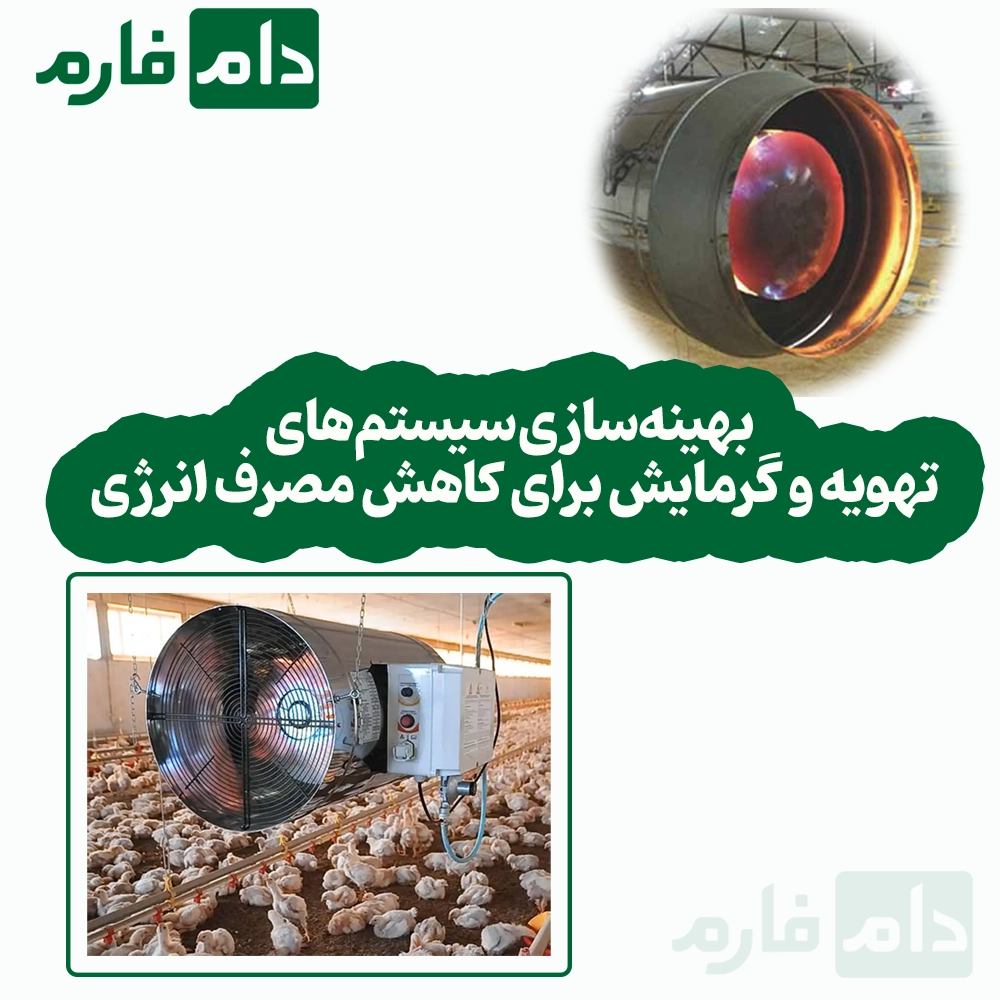 How-to-reduce-energy-consumption-in-broiler-farms