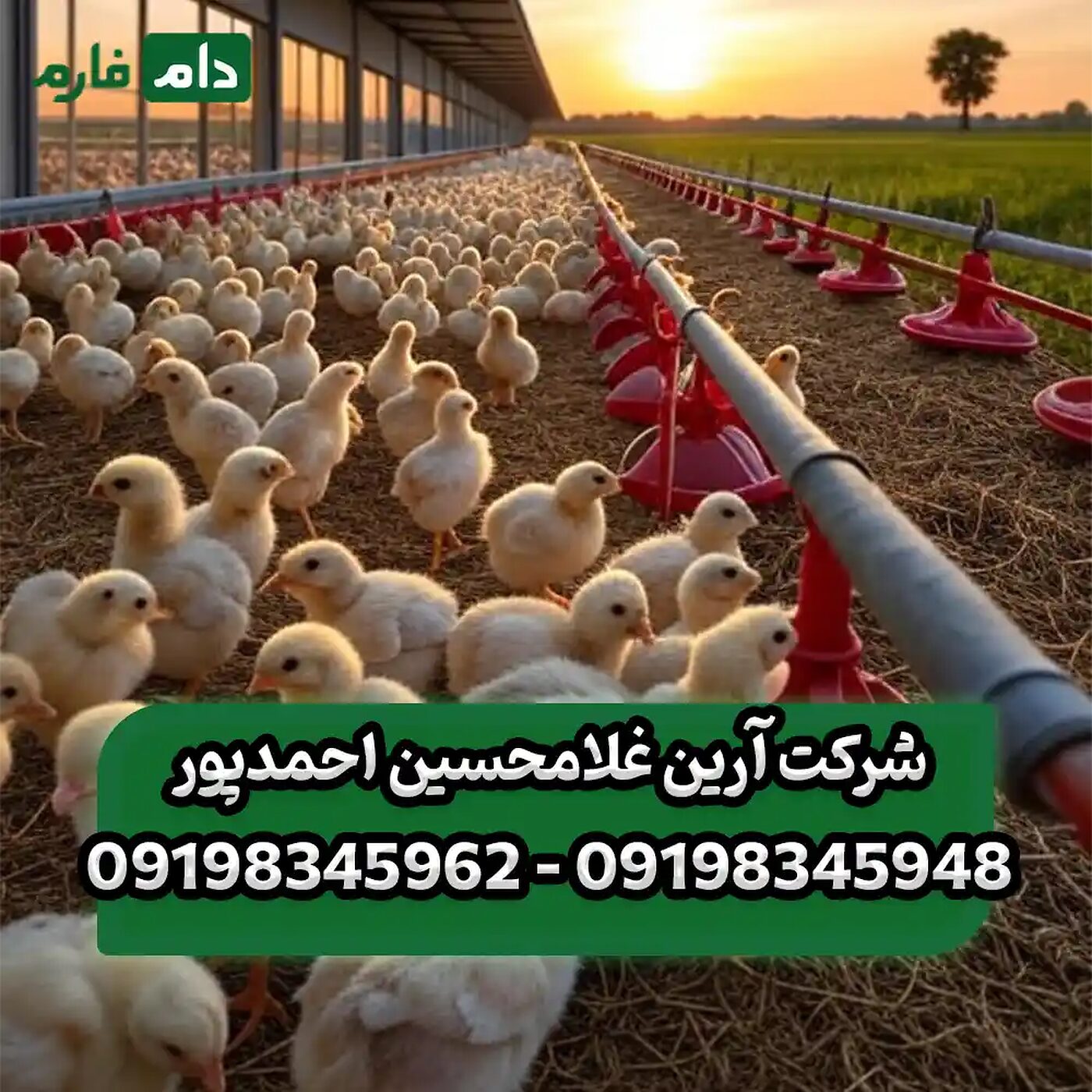 شرکت_آرین_غلامحسین_احمدپور_90001101