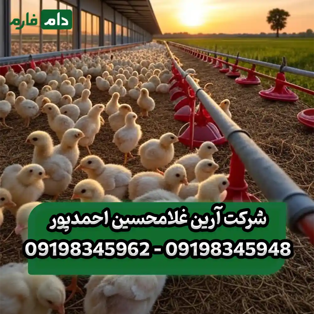 شرکت_آرین_غلامحسین_احمدپور_09198345948_-_09198345962
