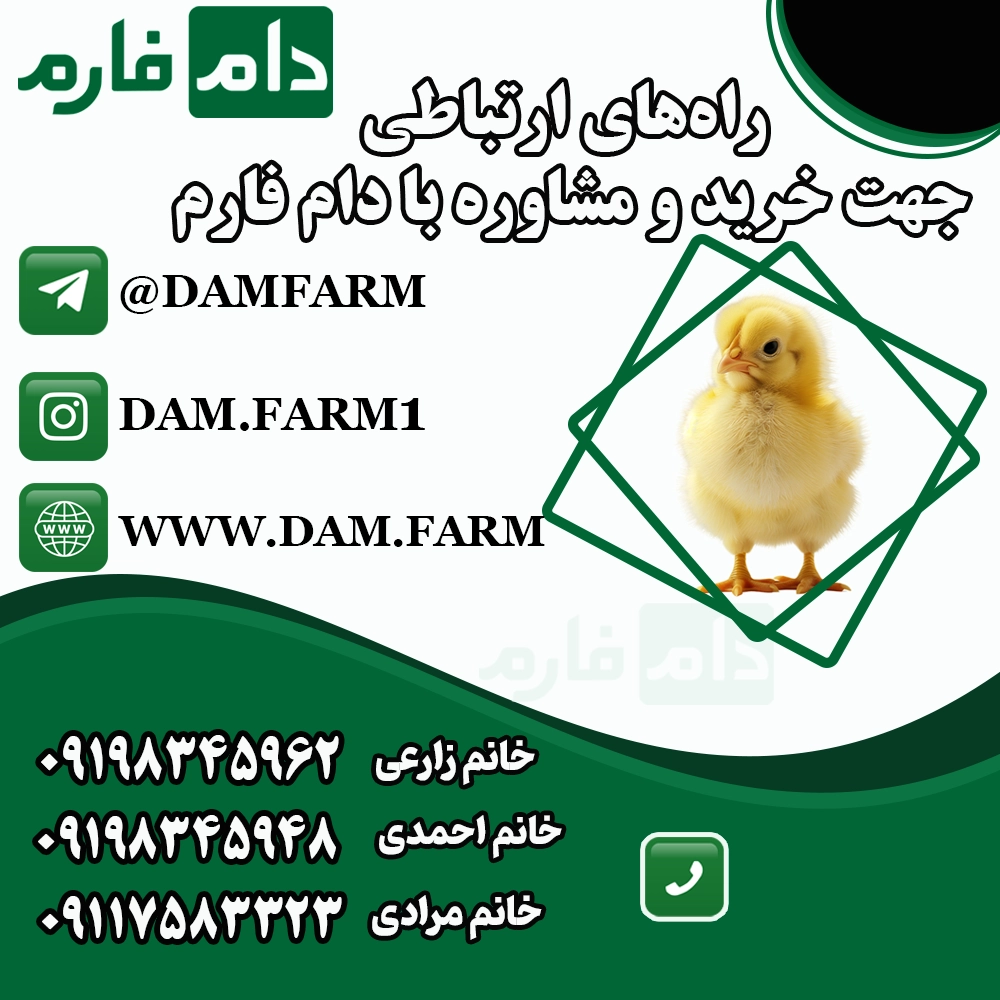 Niko-Poultry-Day-Old-Chick-Sales-Center-09198345948---09198345962