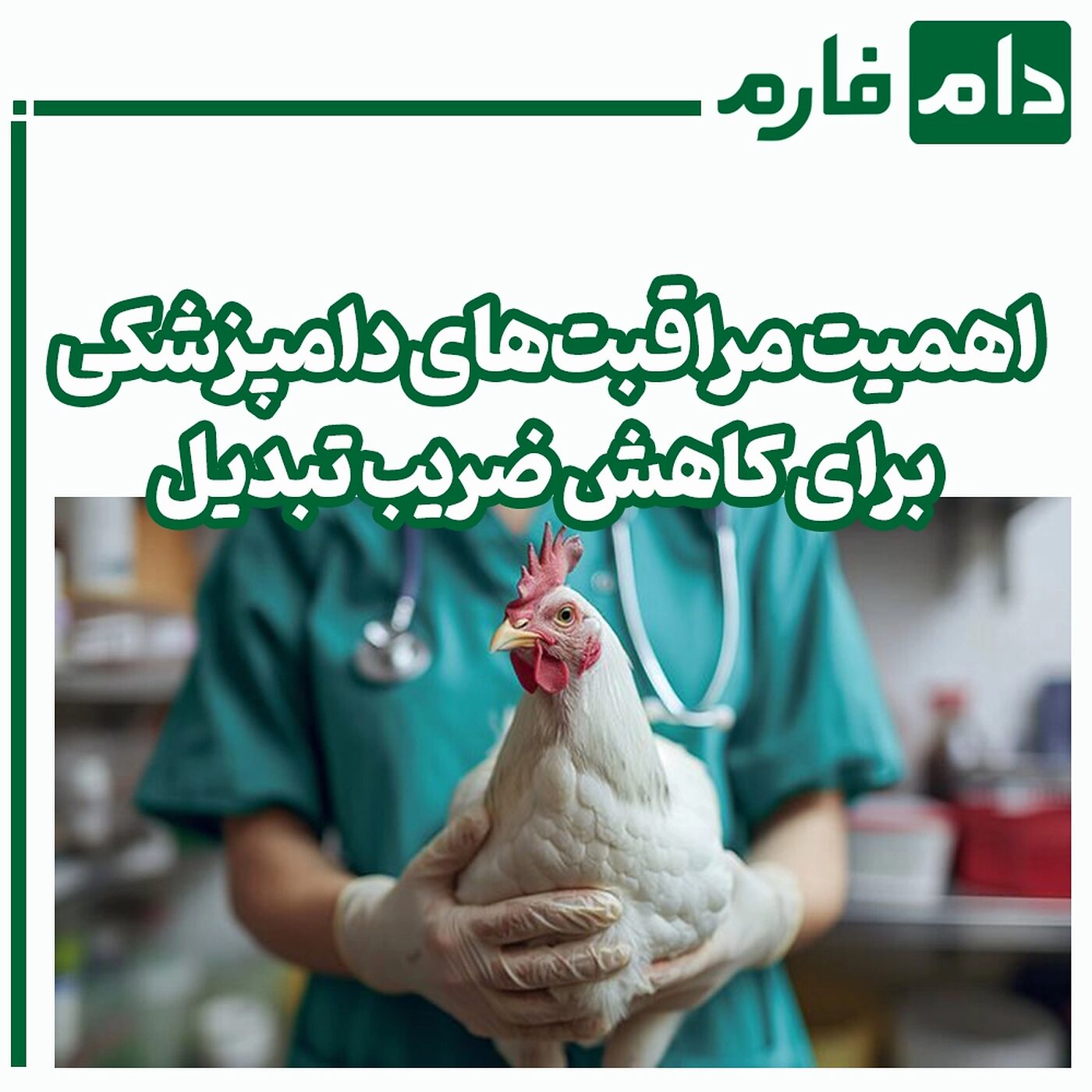 مراقبت‌های_دامپزشکی_برای_کاهش_ضریب_تبدیل_و_بهره‌وری_در_مرغداری‌ها