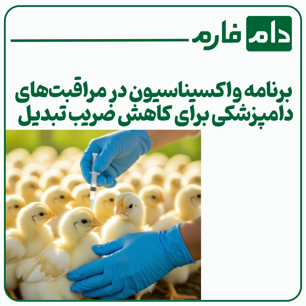 Veterinary-care-to-reduce-feed-conversion-ratio-and-productivity-in-poultry-farms