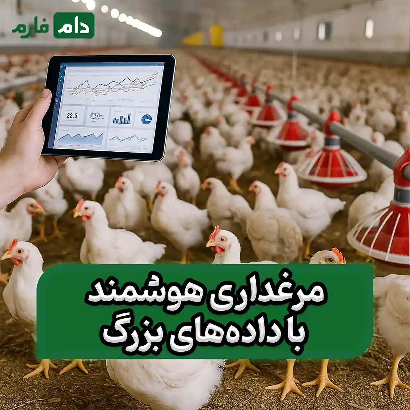 بررسی_مزایای_استفاده_از_داده‌های_بزرگ_در_مدیریت_مرغداری