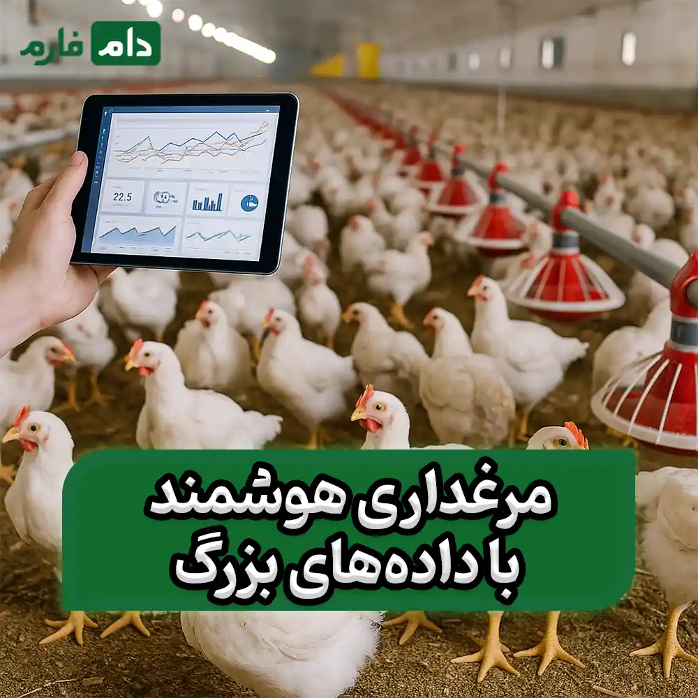 بررسی_مزایای_استفاده_از_داده‌های_بزرگ_در_مدیریت_مرغداری