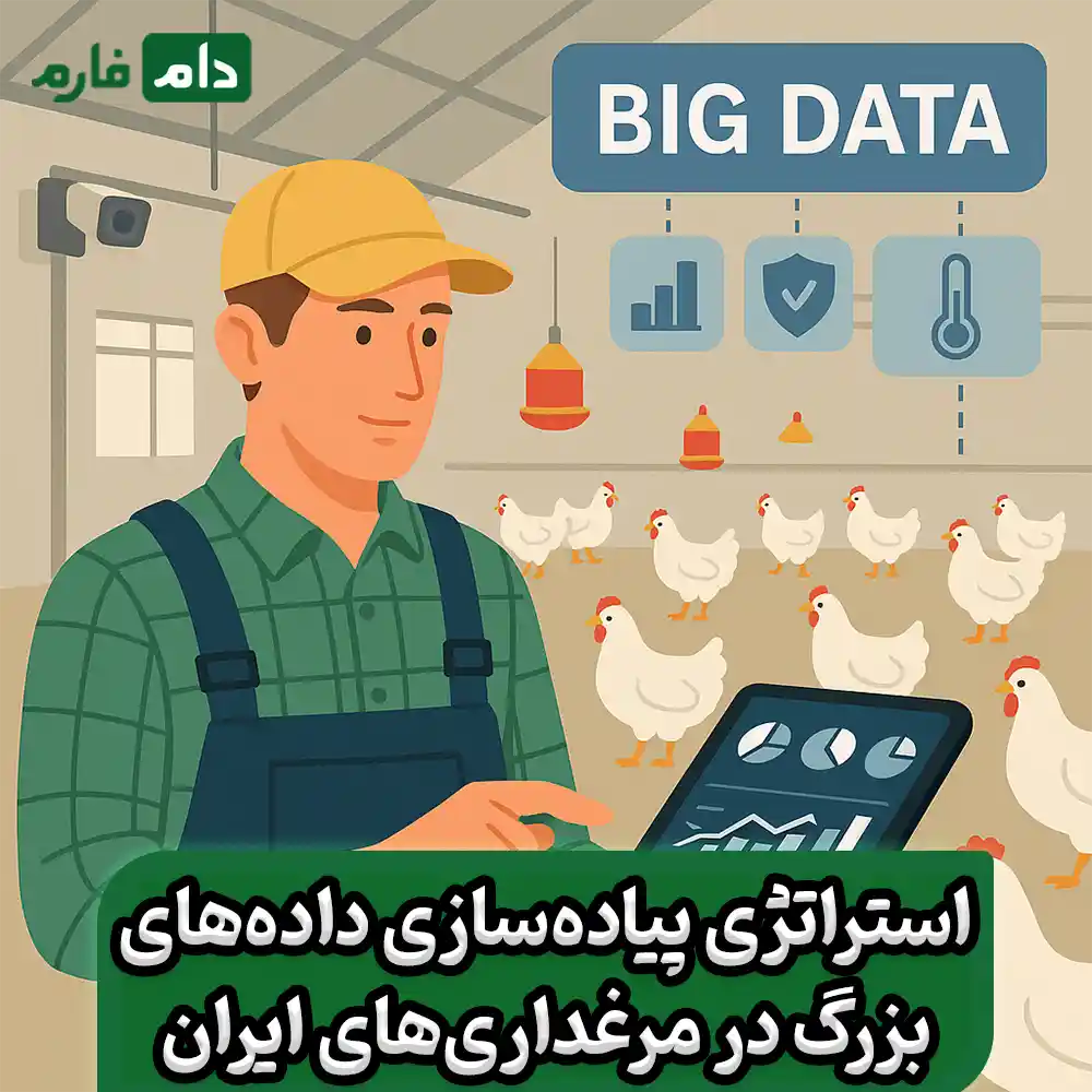 Exploring-the-benefits-of-using-big-data-in-poultry-management