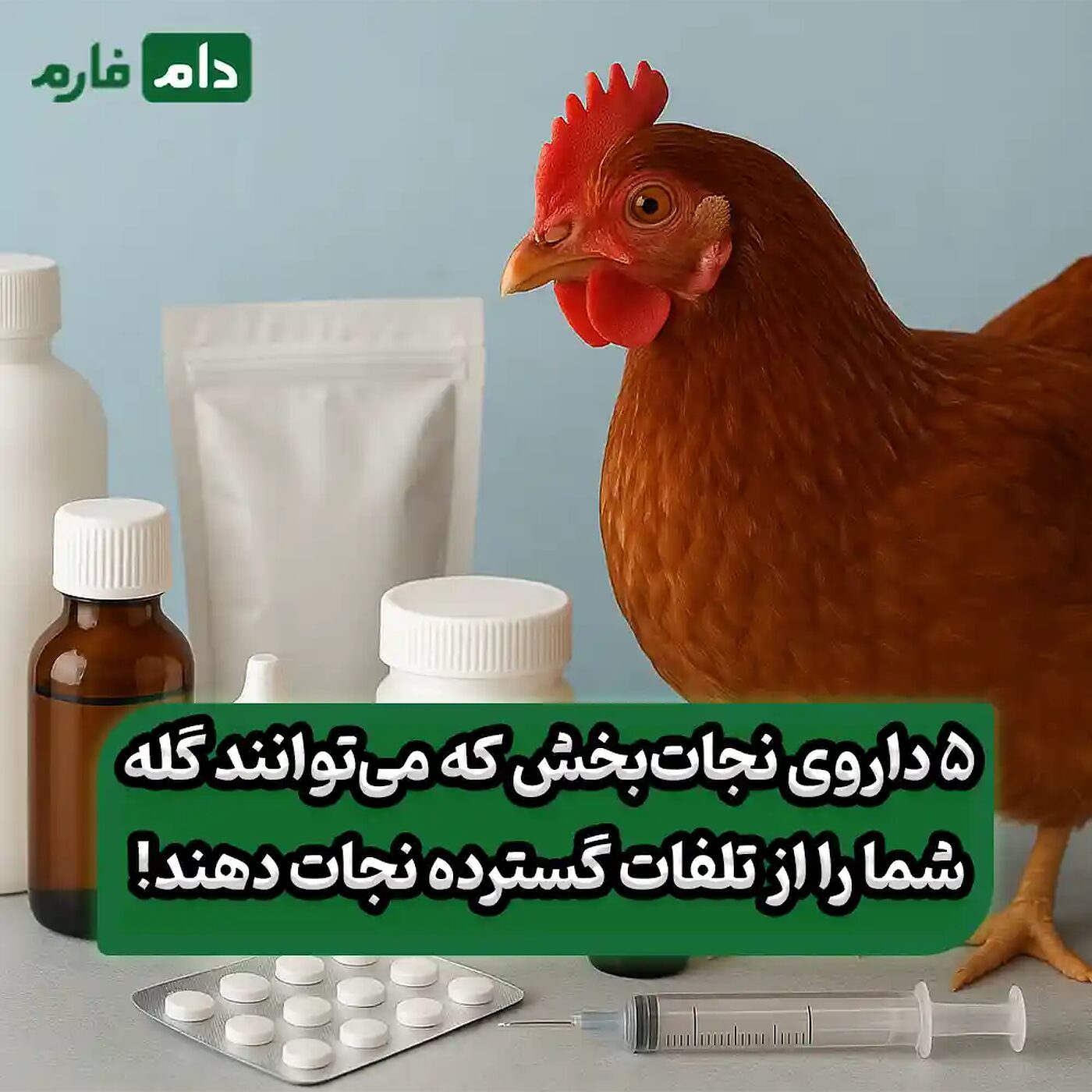 معرفی_۵_داروی_ضروری_برای_هر_مرغداری