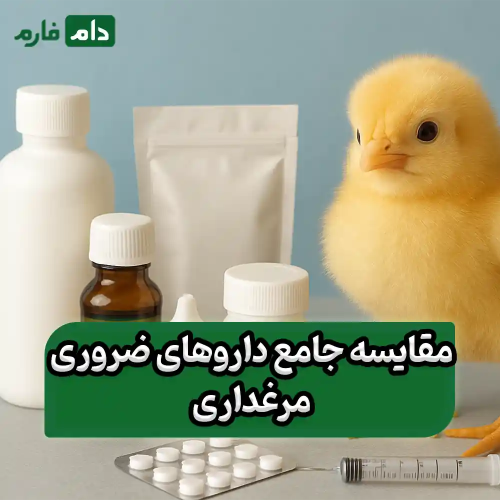 Introducing-5-essential-medicines-for-every-poultry-farm