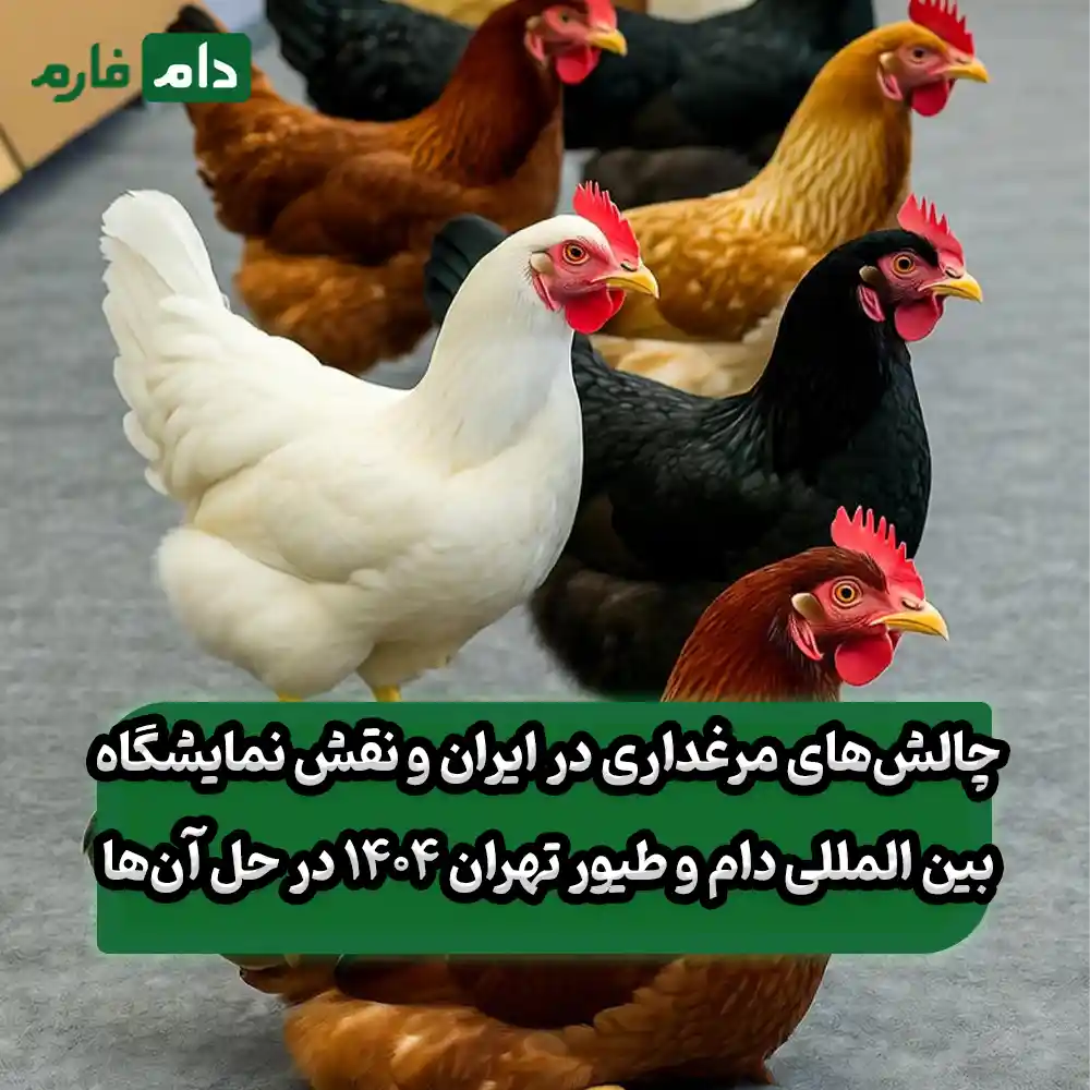 Tehran-International-Livestock-and-Poultry-Exhibition-2021:-10-Reasons-Every-Poultry-Farm-Should-Not-Miss-It