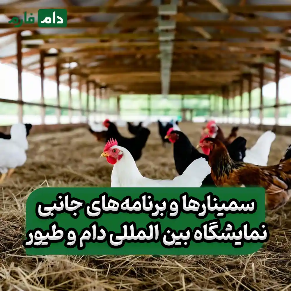 Tehran-International-Livestock-and-Poultry-Exhibition-2021:-10-Reasons-Every-Poultry-Farm-Should-Not-Miss-It