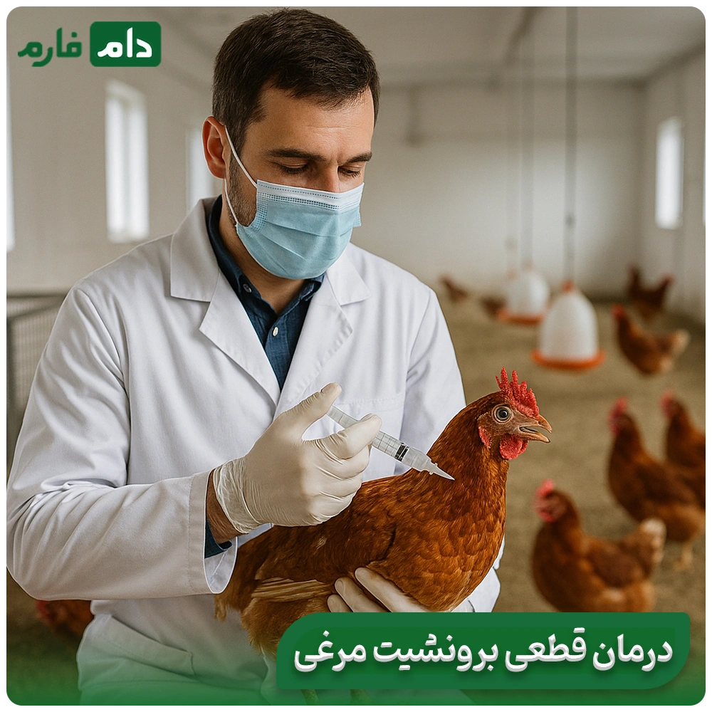 The-difference-between-home-treatment-of-chicken-bronchitis-and-medicine
