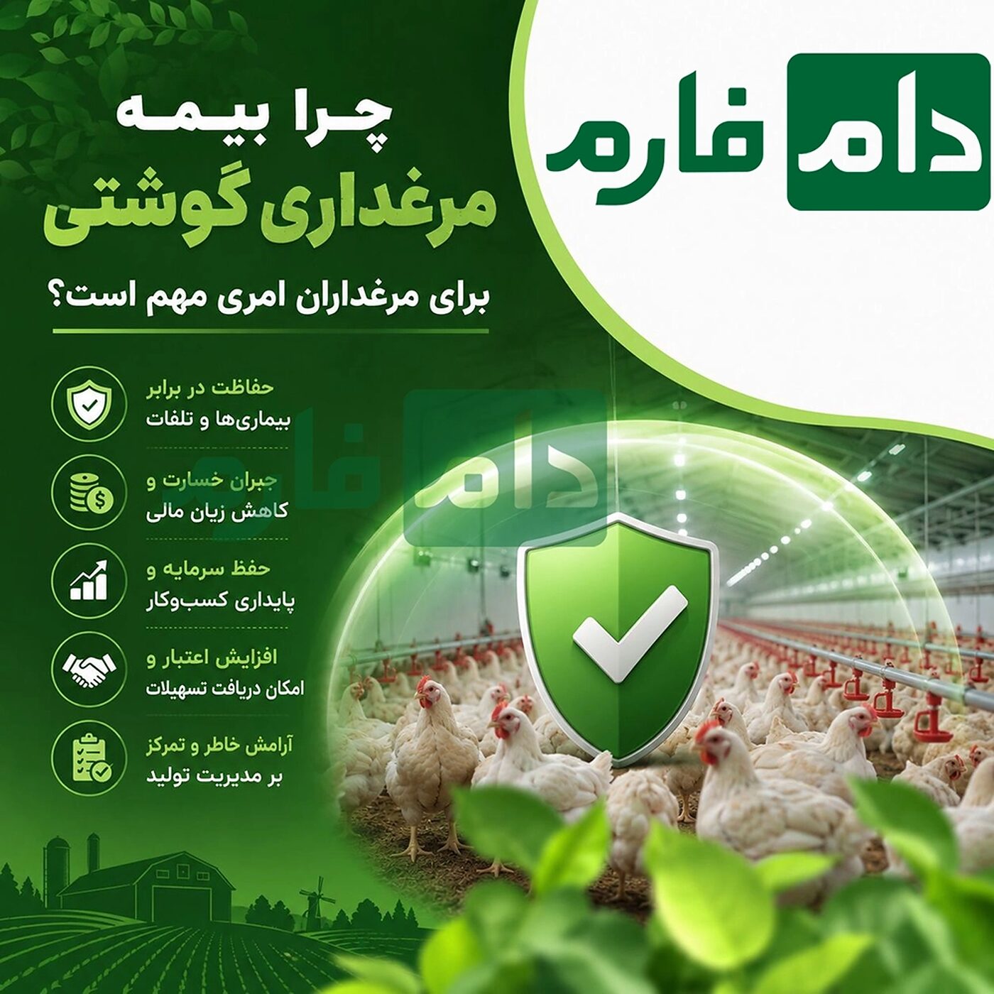 چگونه_برای_مرغداری_گوشتی_بیمه_بگیریم؟_مراحل_کامل_+_جدول_تعرفه