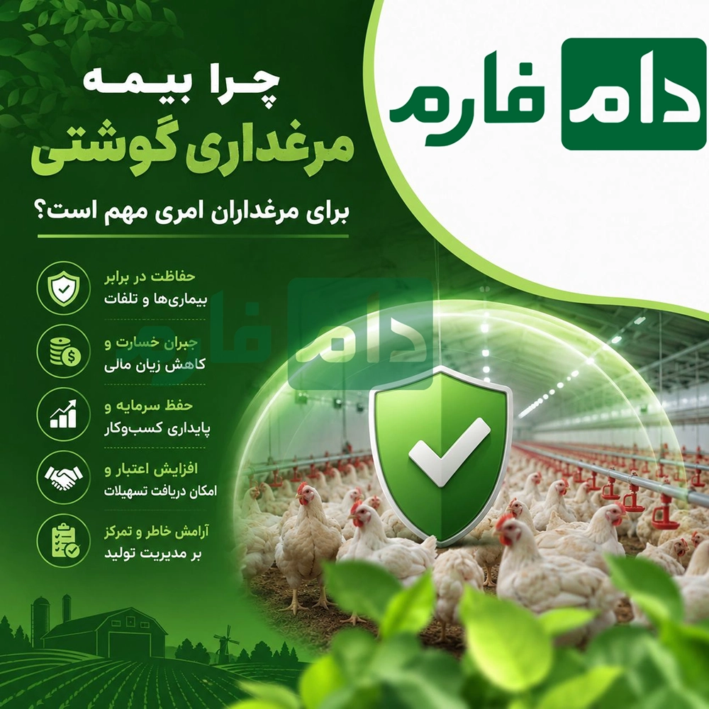 چگونه_برای_مرغداری_گوشتی_بیمه_بگیریم؟_مراحل_کامل_+_جدول_تعرفه