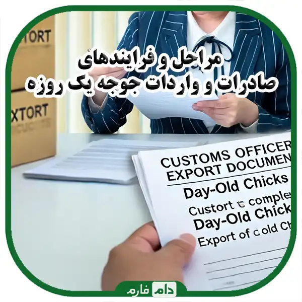 Export-and-import-of-day-old-chicken