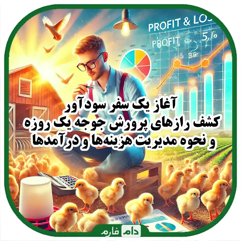 محاسبه_سود_و_زیان_در_پرورش_جوجه_یک_روزه_نحوه_محاسبه_و_تحلیل_هزینه‌ها_و_درآمدها