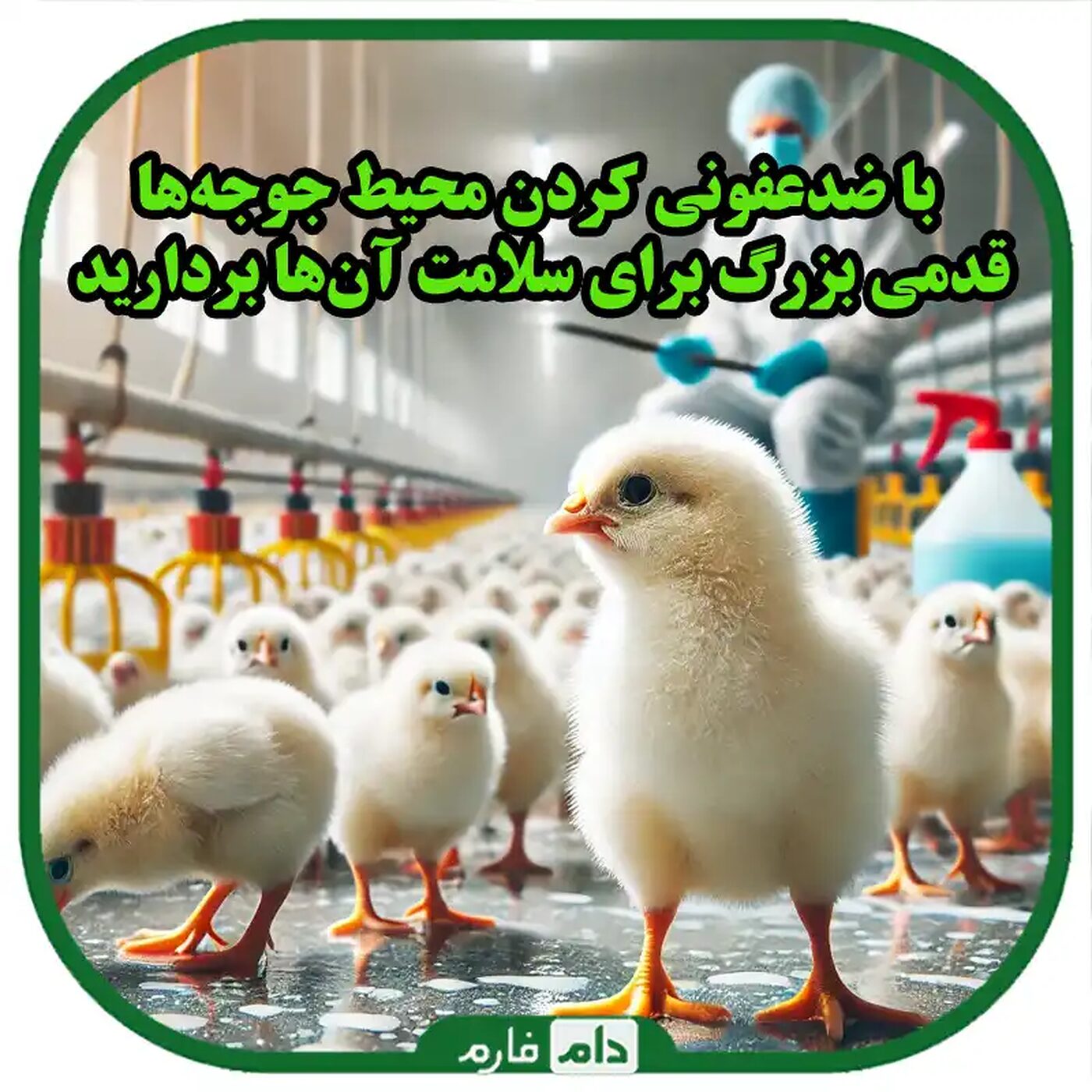 _بررسی_کامل_مزایا_و_معایب_استفاده_از_ضد_عفونی_کننده_در_مرغداری‌ها