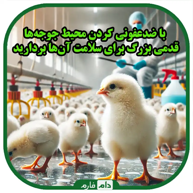 _بررسی_کامل_مزایا_و_معایب_استفاده_از_ضد_عفونی_کننده_در_مرغداری‌ها