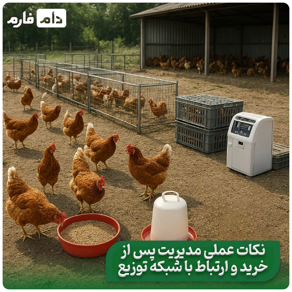 etlaat-jame-dar-moord-morgh-ajdad-|-tafavat-morgh-ajdad-ve-lain