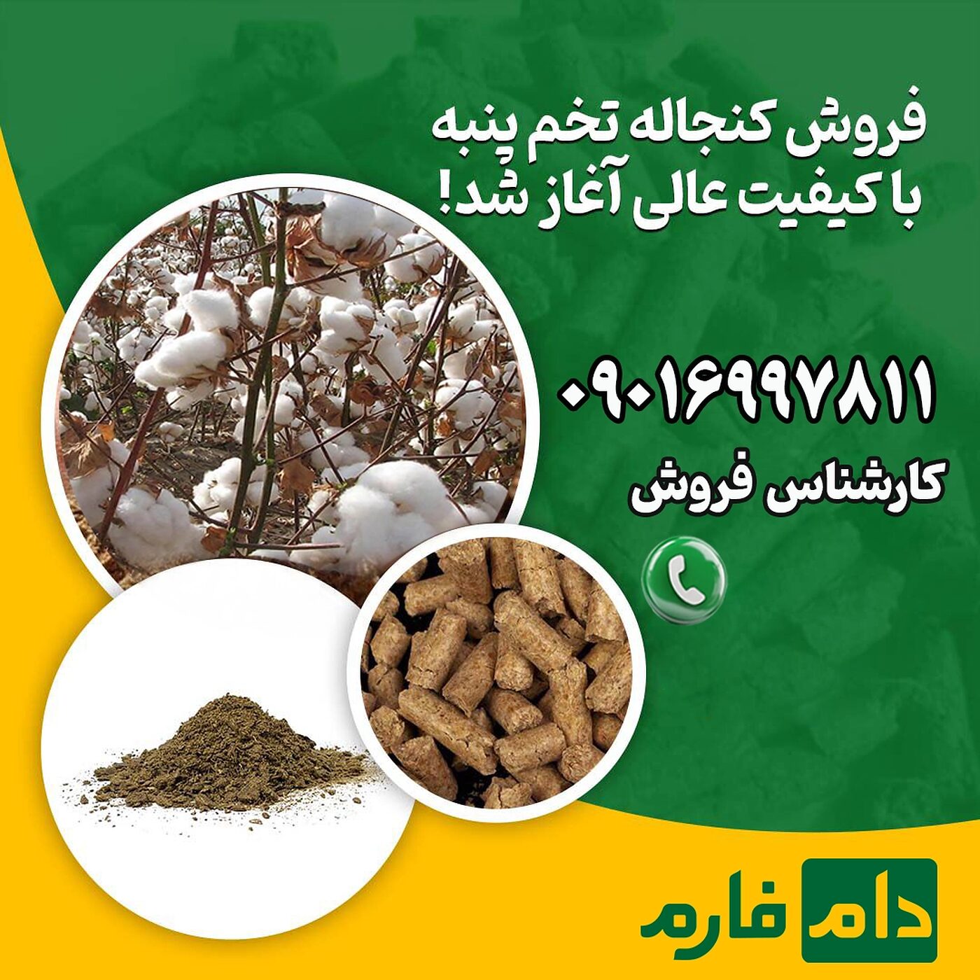 فروش_کنجاله_تخم_پنبه_باکیفیت_از_دام_فارم