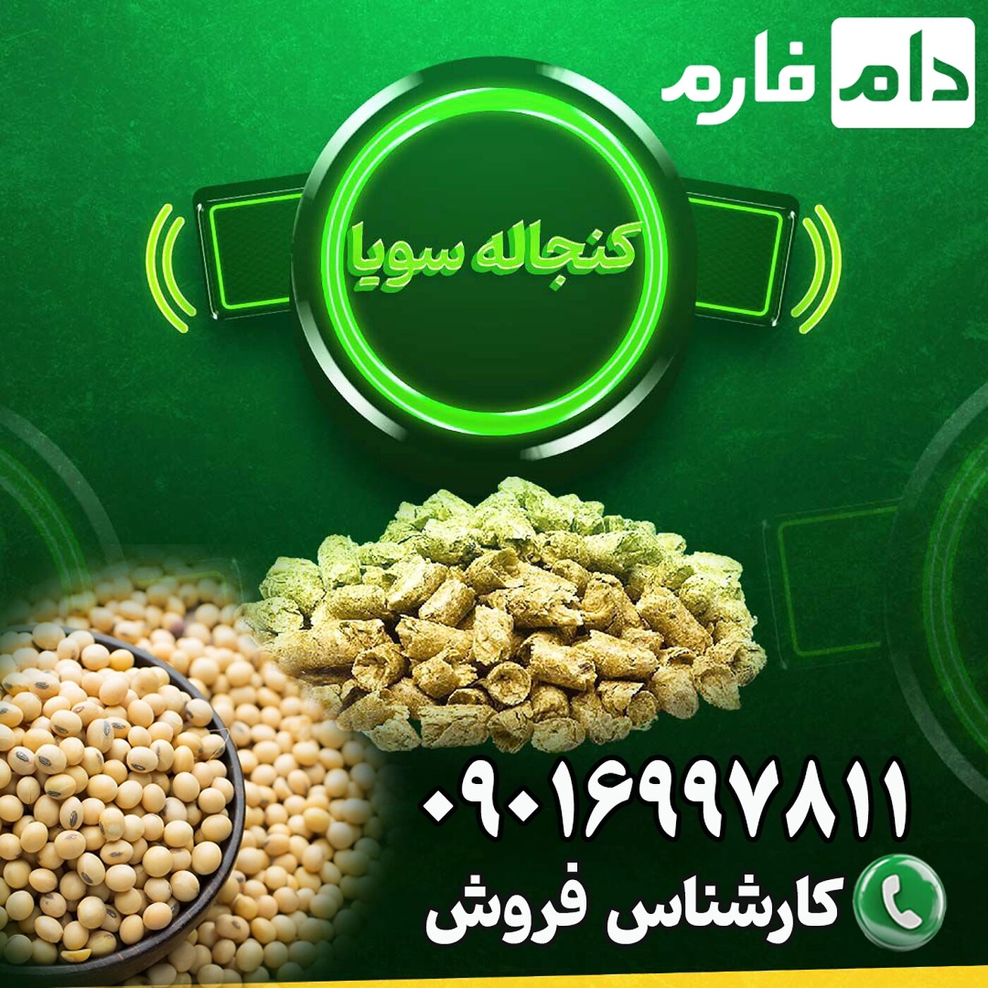 فروش_کنجاله_سویا_از_دام_فارم_:_بهترین_انتخاب_برای_تغذیه_دام_و_طیور