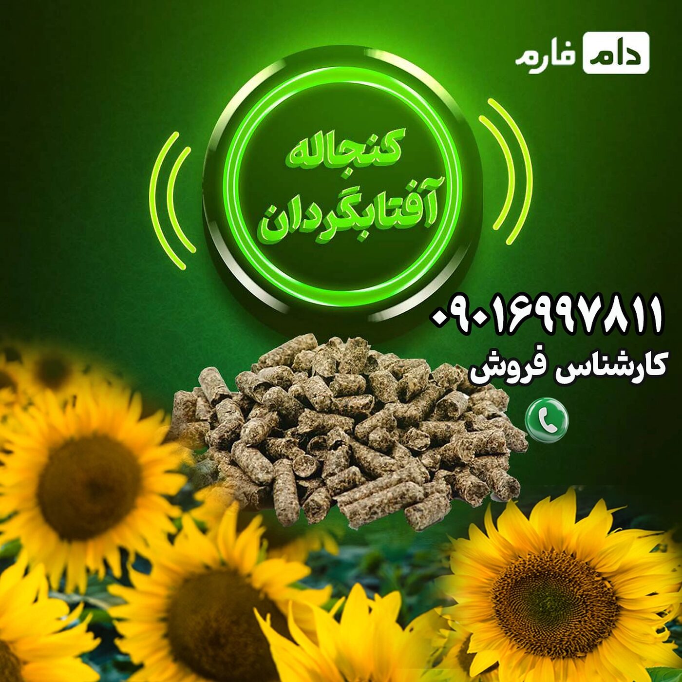 فروش_کنجاله_آفتابگردان_با_کیفیت_|_دام_فارم